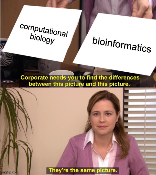 Computational biology versus bioinforamtics — the eternal question
